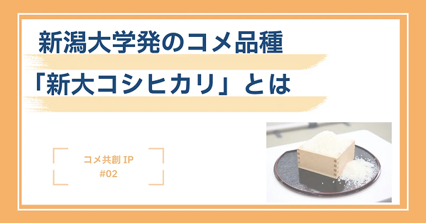 新潟大学発のコメ品種「新大コシヒカリ」とは　－コメ共創イノベーションプロジェクト－