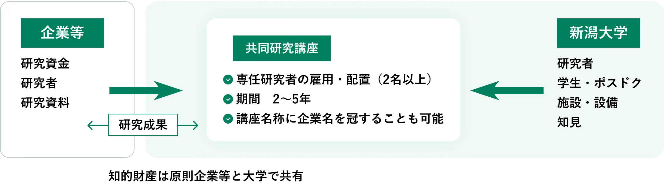 知的財産は原則企業と大学が共有